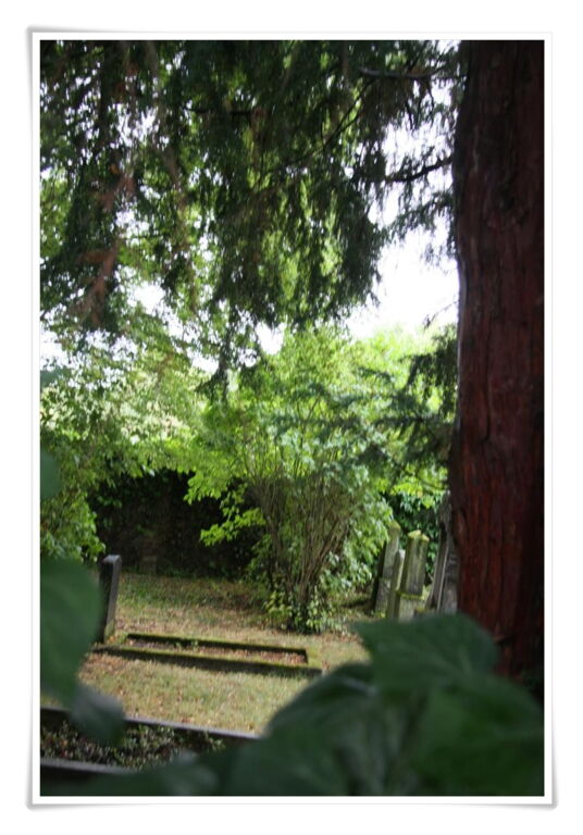 Der Friedhof Jüdische Friedhöfe in Deutschland und angrenzenden Ländern